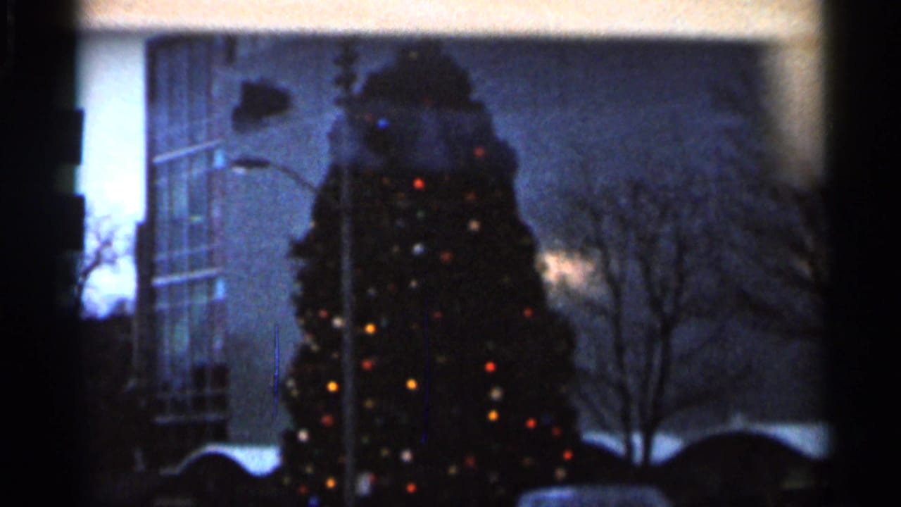 Lit outdoor Christmas tree beside a modern building at dusk or night.
