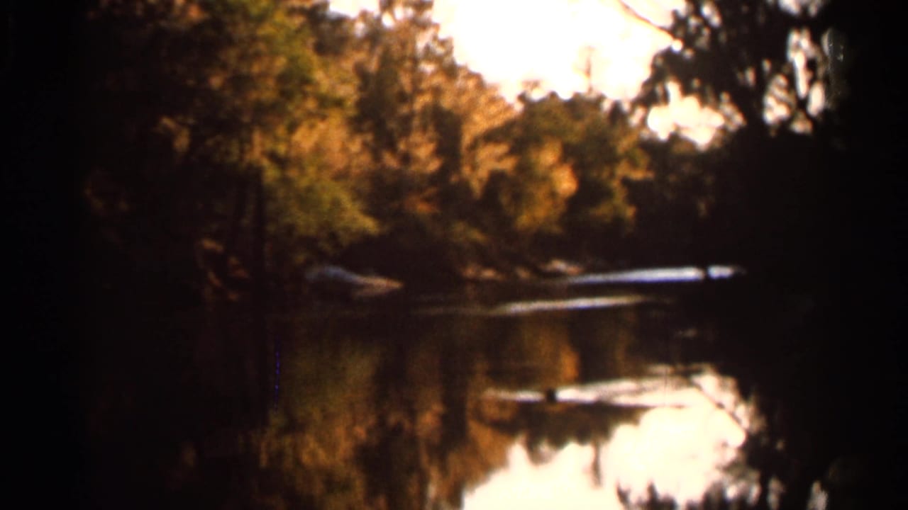 1966 Florida 8mm frame showing a blurred tree-lined river with warm foliage and bright water reflections.