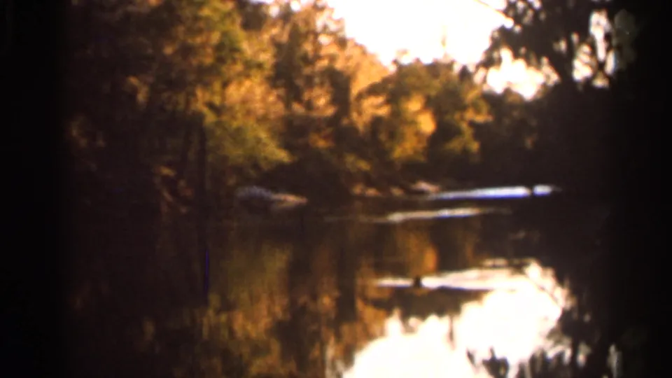 1966 Florida 8mm frame showing a soft handheld view of a river bordered by trees and bright reflected light.