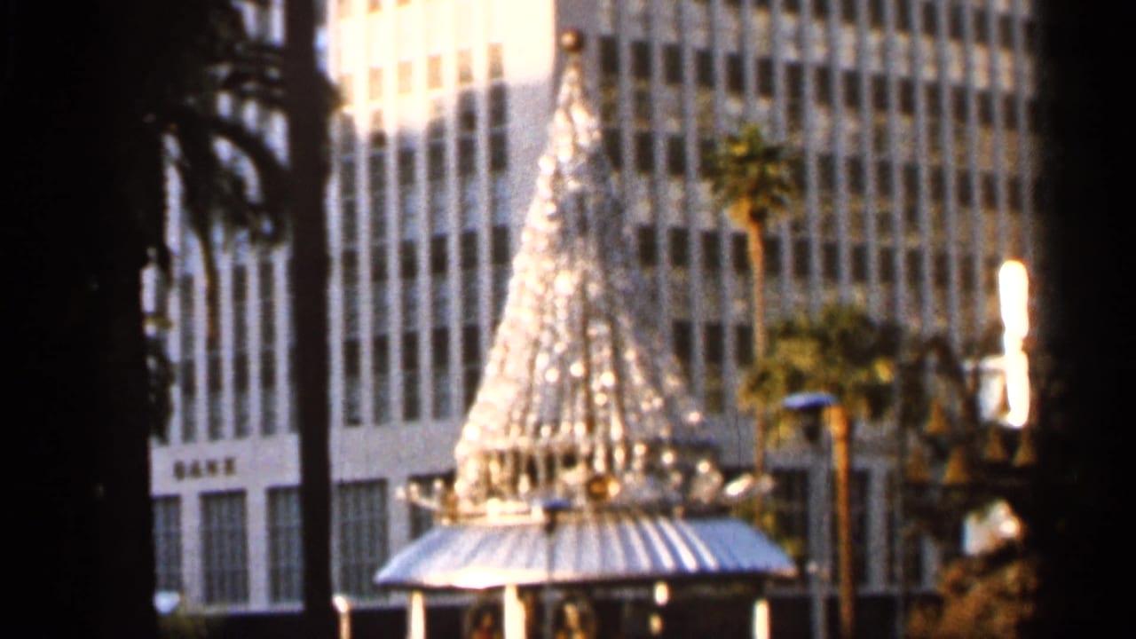 1966 Florida home-movie frame showing a large decorative tree near palm trees and a multi-story building in a public outdoor area.