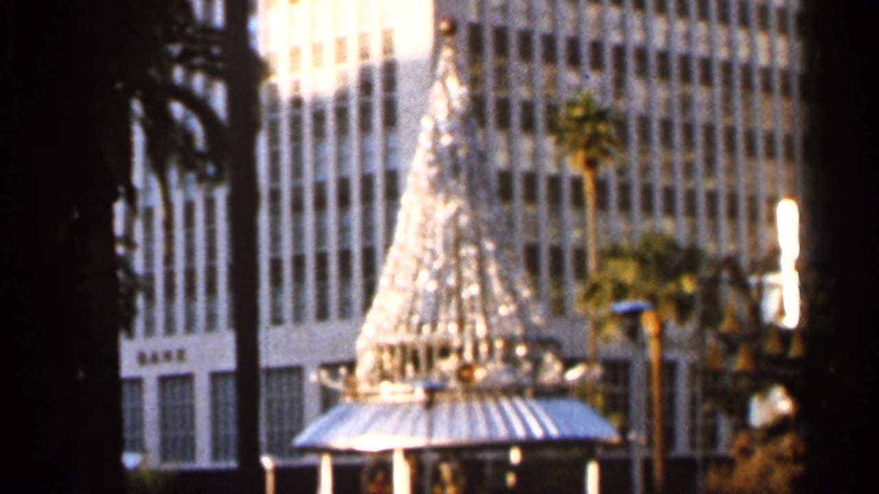 The camera holds on the decorative tree and surrounding palms, with a high-rise facade behind the public plaza scene.