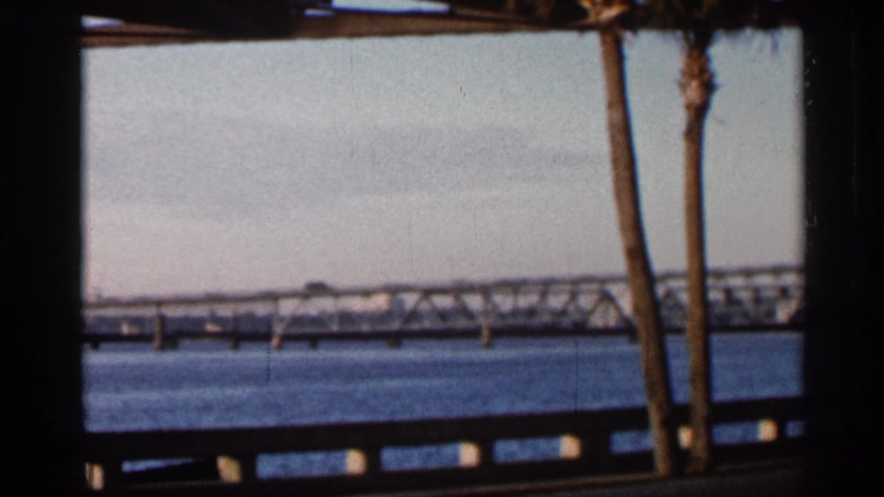 1966 Florida 8mm frame showing a long bridge across water, seen past palm trunks and a roadside barrier.