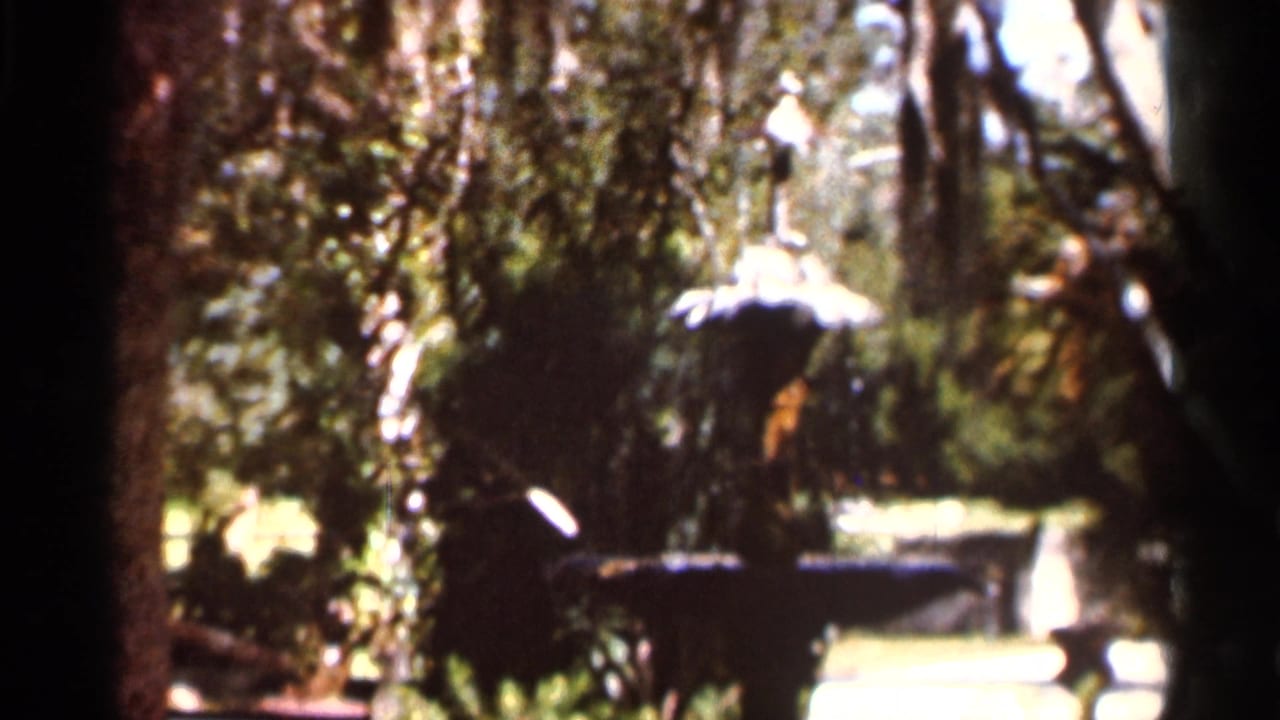 Soft-focus garden fountain partly framed by dark trees and bright greenery.