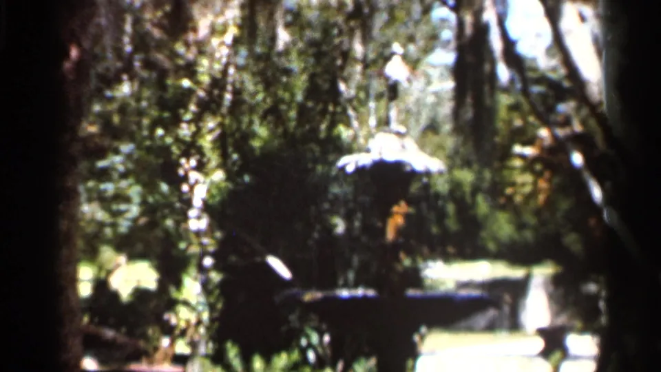 A Florida garden fountain is held in soft 8mm focus, with shadowed trees and bright summer foliage around it.