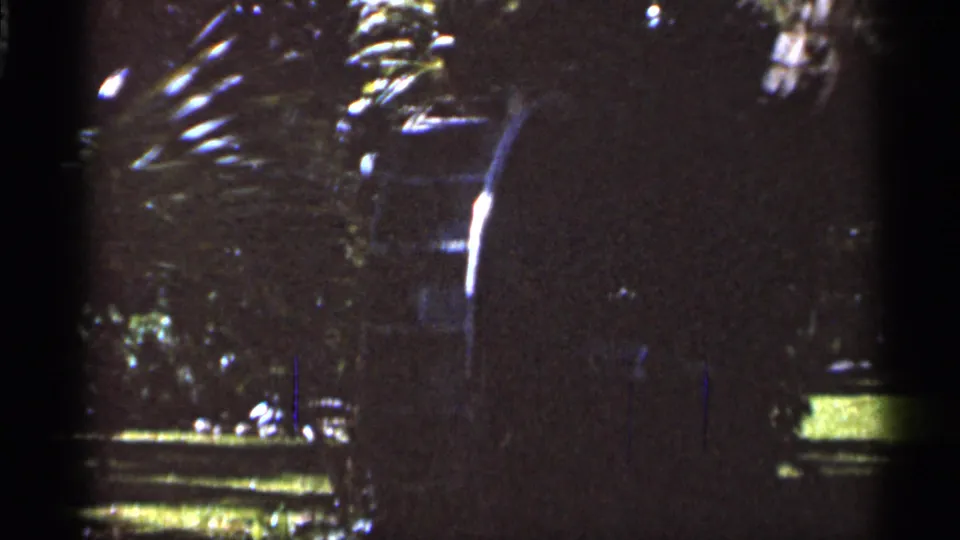 Final 1966 Florida park frame showing mostly dark foliage, a bright strip of lawn, and indistinct shapes from the landscaped grounds.