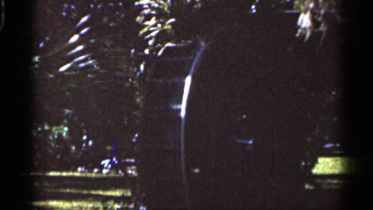 Dark park trees with palm fronds, a statue-like figure on a pedestal, lawn, and bright sky patches.