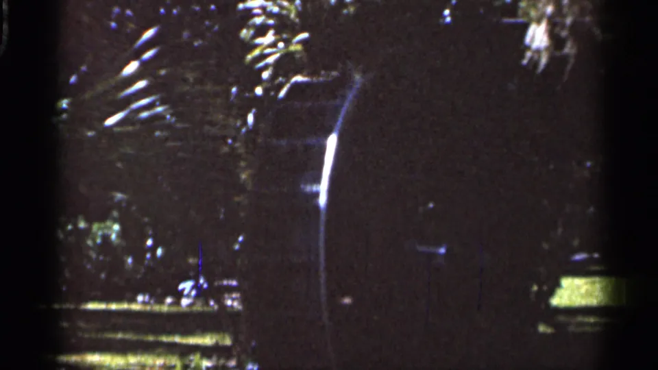 1966 Florida home-movie frame showing dark park foliage, palm fronds, a pedestal statue form, lawn, and small areas of bright sky.