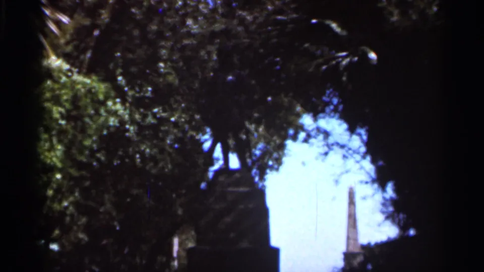 1966 Florida park footage showing dense wind-stirred trees, bright sky, and a distant obelisk-like structure partly obscured by foliage.