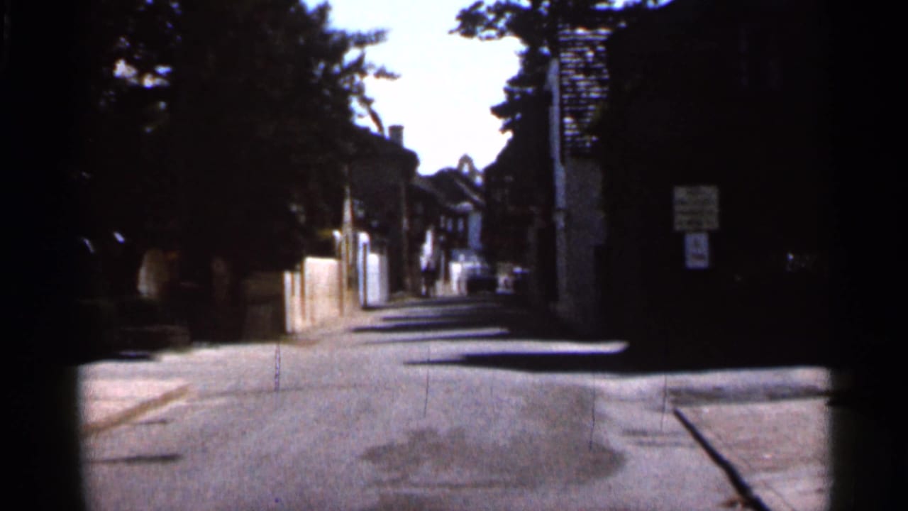 Shaded street or alley with trees, low walls, houses, signs, and a distant parked car.