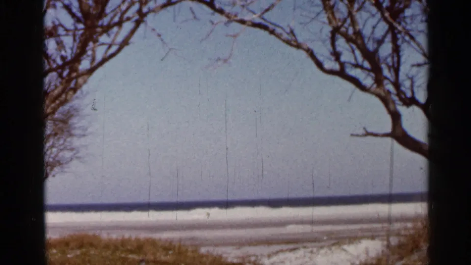 1966 Florida beach view with bare branches overhead, pale sand, and a calm dark ocean horizon.