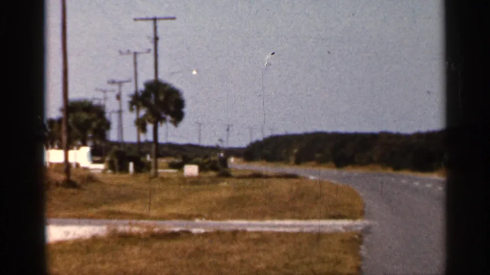 1966 Florida frame from a moving vehicle, with palms, utility poles, dry roadside grass, and a curve in the asphalt road.