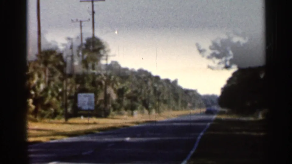 1966 Florida roadside view with a straight asphalt road, palms, utility poles, a small sign, and tree cover along the shoulder.