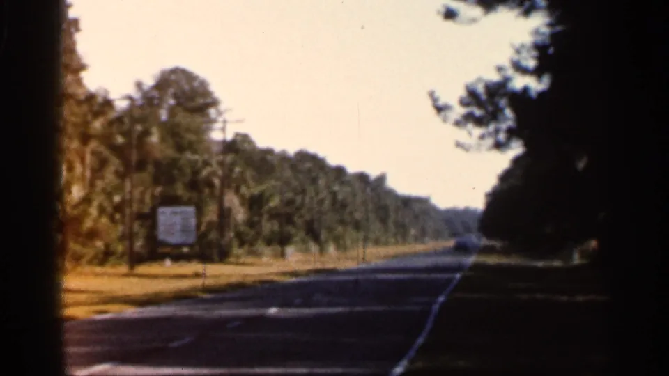 1966 Florida home-movie frame showing a tree-lined asphalt road with palms, utility poles, deep shadows, and a small roadside sign.