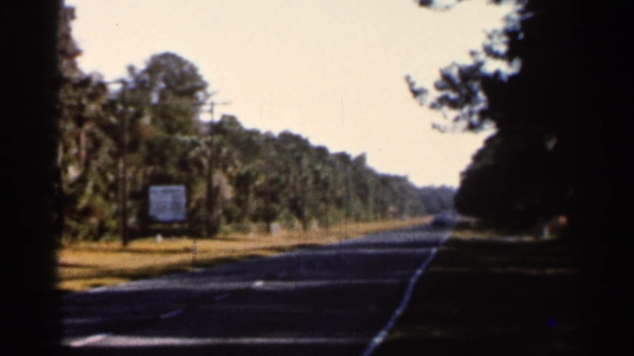 Two-lane road bordered by trees and palms with a small roadside sign on the left shoulder.