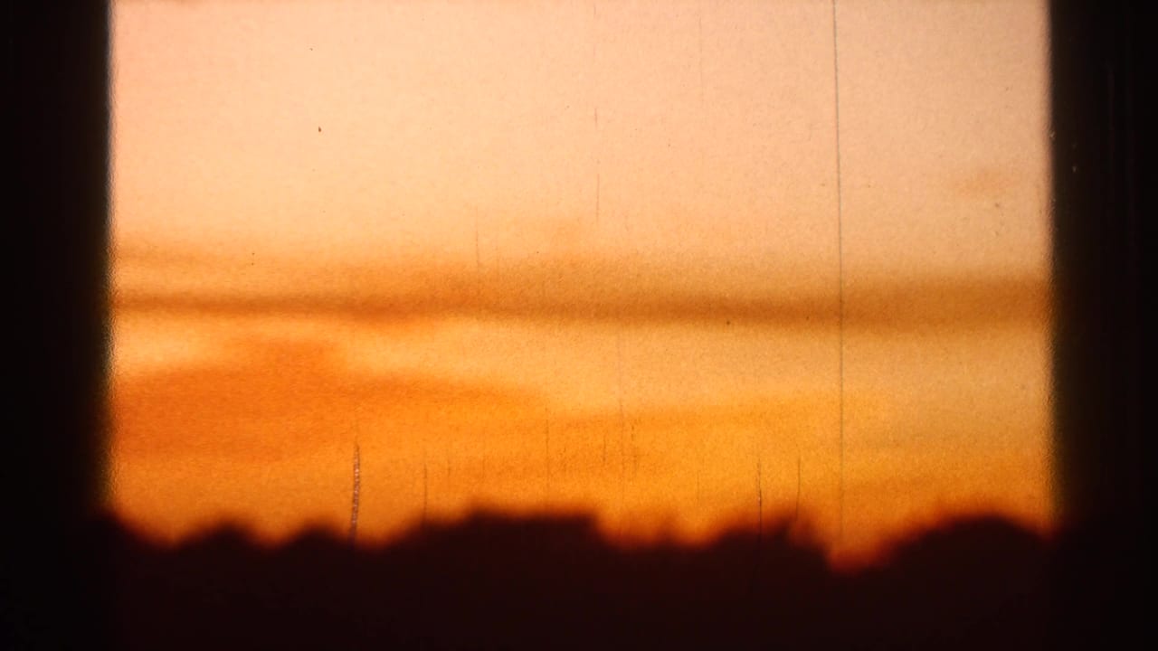 Orange sunset sky above a dark tree line with vertical dark edges.