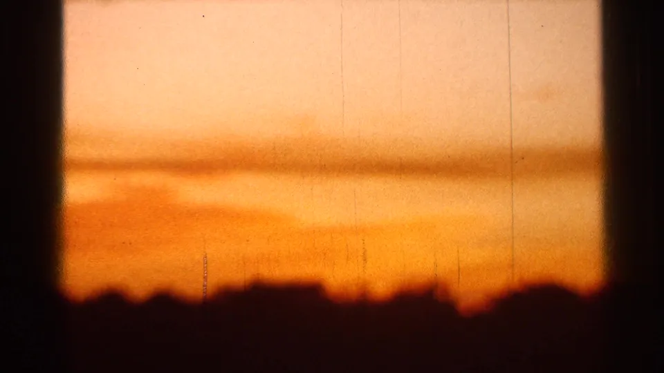 1966 Florida home-movie frame with orange sunset light and a dark grove silhouette across the lower edge.