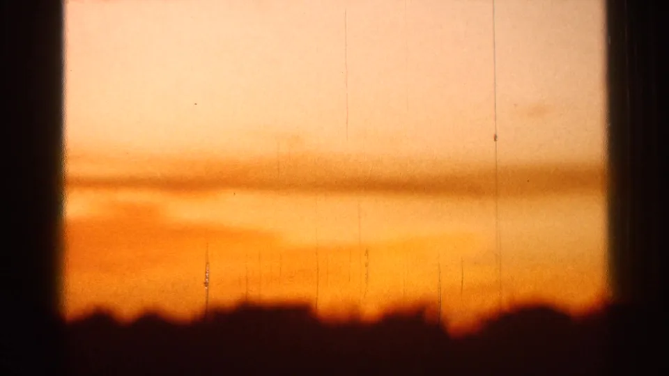 1966 Florida 8mm frame of a fading orange sky above a shadowed grove horizon.