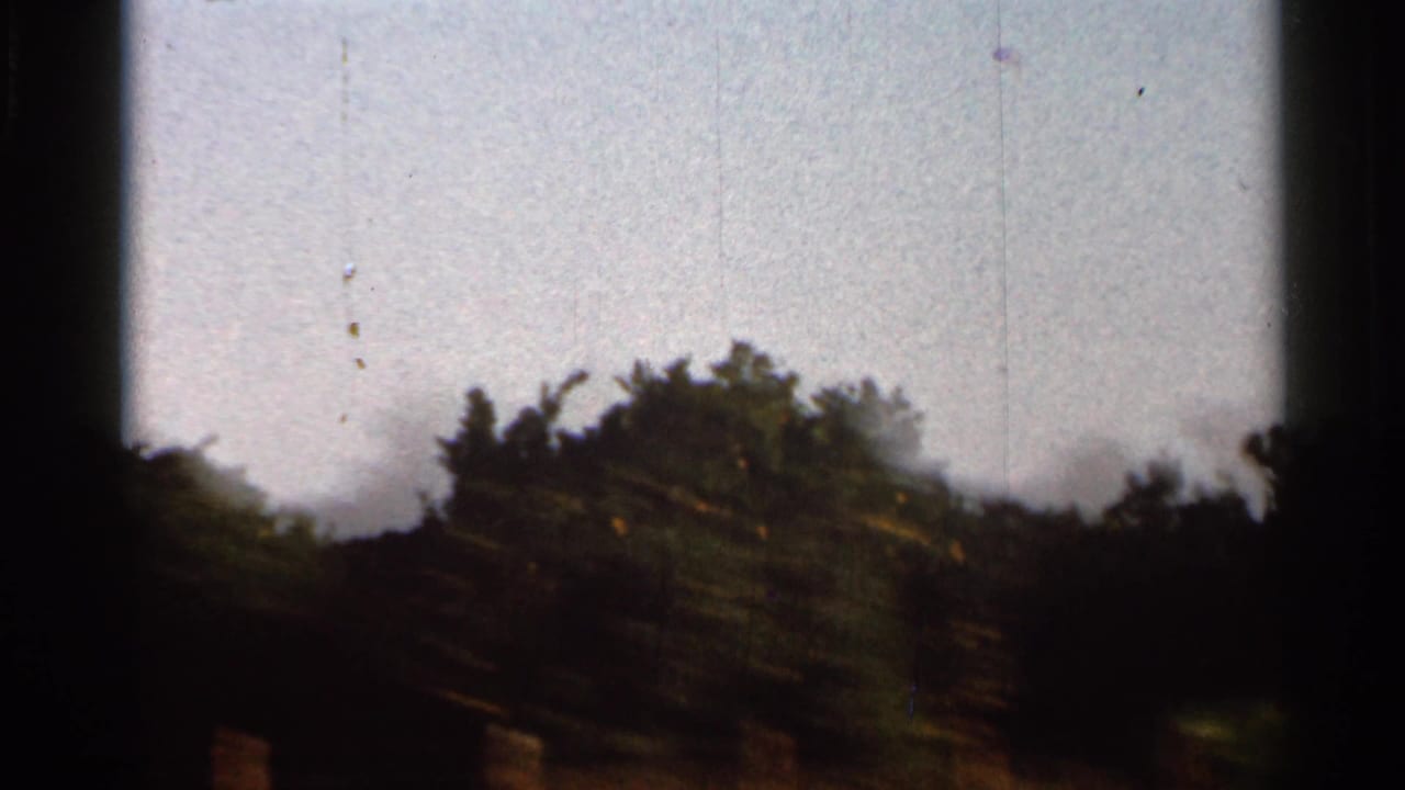 Dark underexposed foliage and sky seen through a film frame edge.