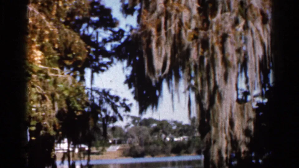 1966 Florida 8mm frame showing Spanish moss, trees, and a quiet waterside view.