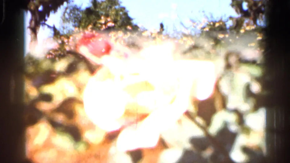 1966 Florida 8mm close-up of a red flower, heavily overexposed, with an indistinct person behind it.