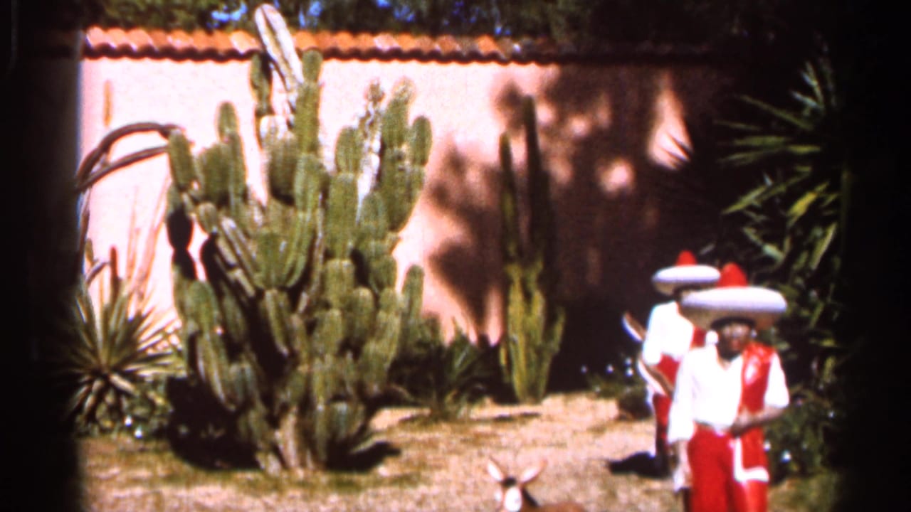 Two sombrero-wearing figures near cactus plants and a pink wall.