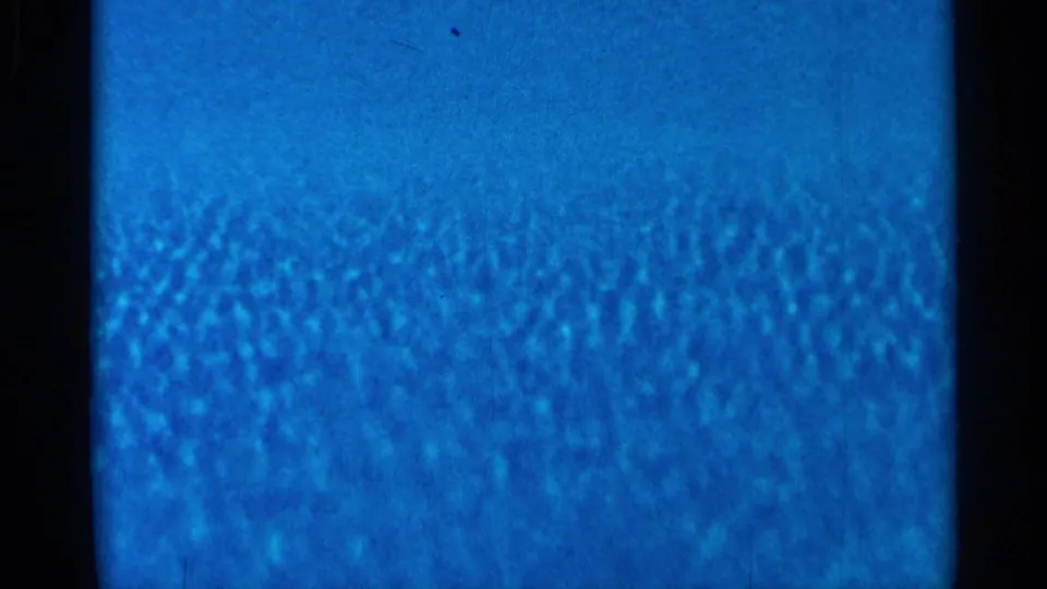 Soft 8mm frame of a blue water surface, likely a pool or fountain detail within the Florida garden sequence.