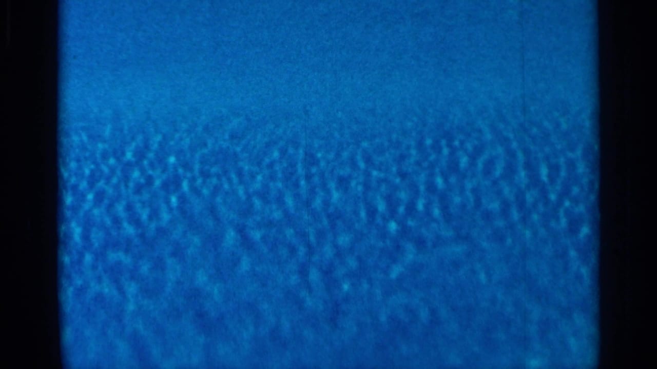 Blue, grainy 8mm frame from a 1966 Florida home movie, with dark film edges and no identifiable subject.