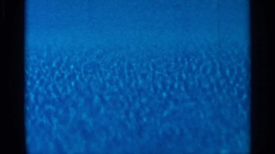 Blue, grainy 8mm frame from a 1966 Florida home movie, with dark film edges and no identifiable subject.