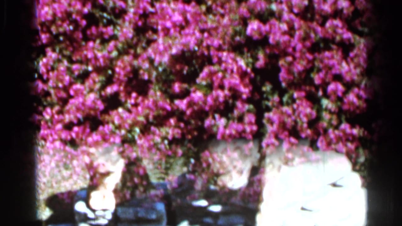Purple flowers above pale garden figures partly visible near the lower edge.