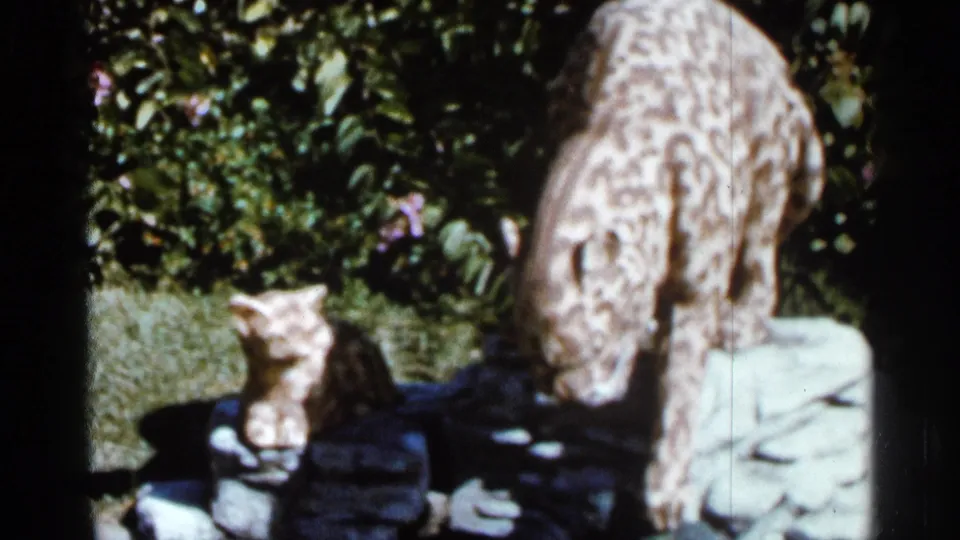 Vintage 8mm frame showing a spotted animal statue and small cat figure near greenery and pale garden edging.