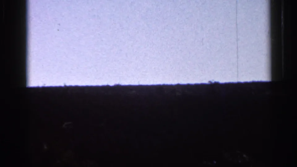 1966 Florida 8mm frame showing a low wooded horizon and pale overexposed sky, partially bordered by dark window-frame shadows.