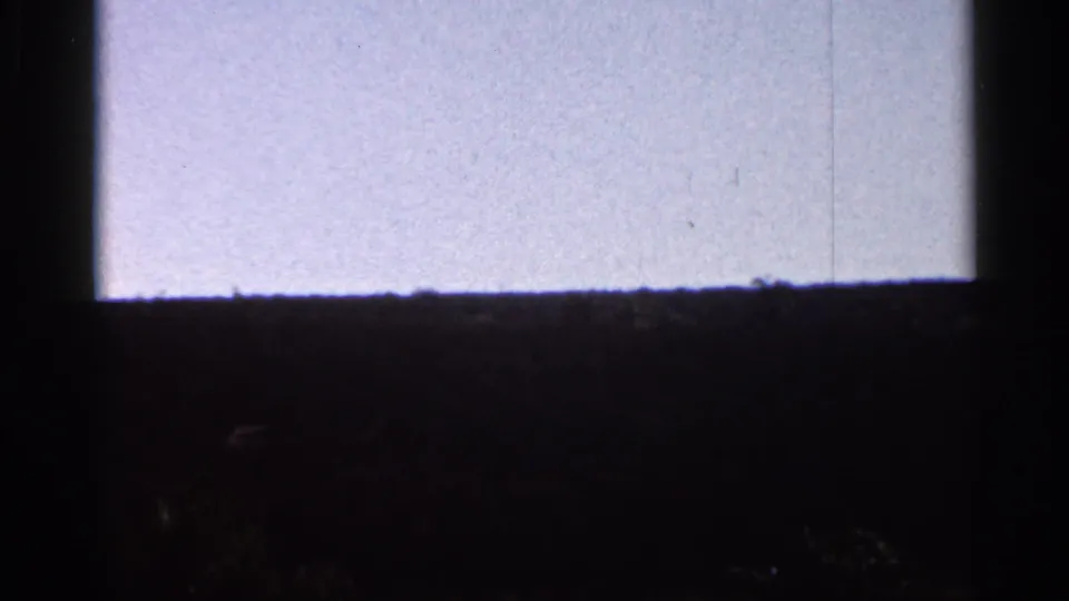 Final 1966 Florida frame holding on a pale sky and dark tree-covered horizon, with a vertical window edge and visible film wear.