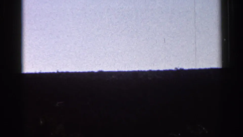 Obscured 1966 Florida home-movie frame with pale sky, low tree line, and dark foreground framing.