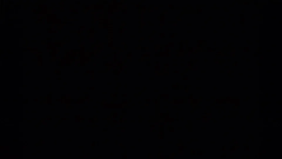 Near-black ending frame from the 1966 Florida 8mm clip, with little visible detail beyond dark exposure.