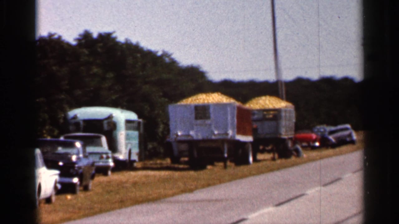 Corn-loaded trailers and classic cars parked beside a highway.
