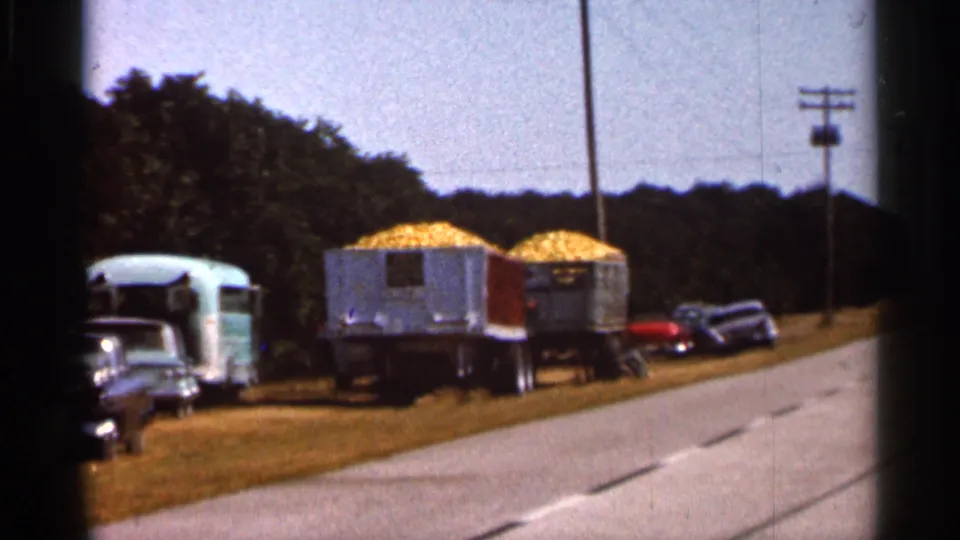 1966 Florida roadside scene with corn-loaded trailers, classic cars, a camper trailer, open highway shoulder, trees, and utility lines.