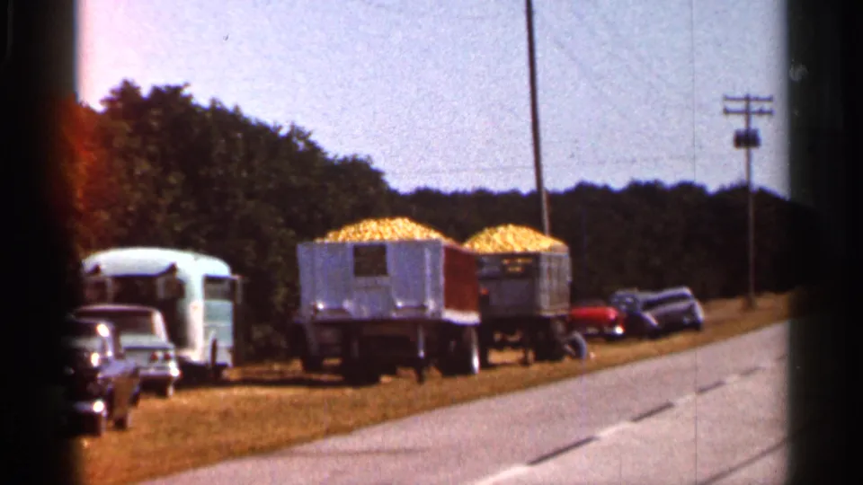 1966 Florida frame with two corn-filled trailers, classic parked cars, a pale camper trailer, bright road surface, trees, and film edge marks.