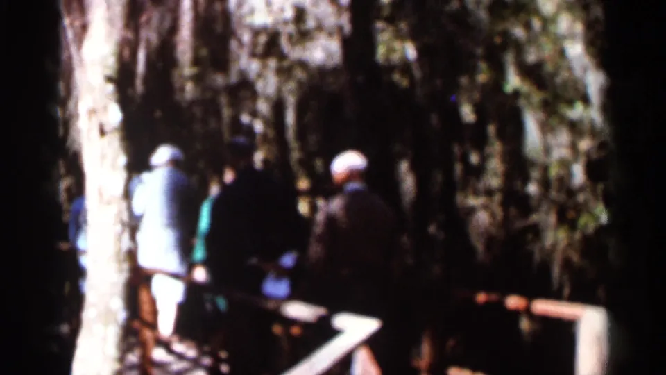 1966 Florida 8mm frame showing a shaded park walkway and exhibit area among large trees, with dark distant shapes in the background.