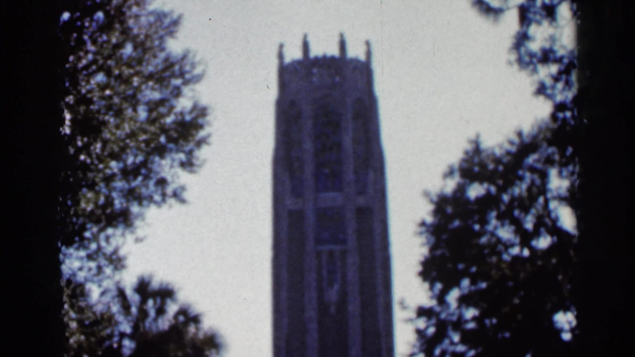 Crenellated tower framed by trees against a pale sky.