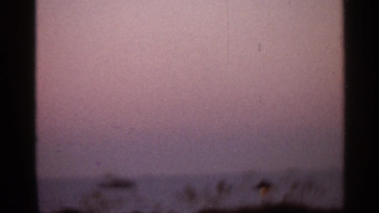1966 Florida 8mm frame looking past a dark vertical frame toward dusky coastal water and shoreline plants.