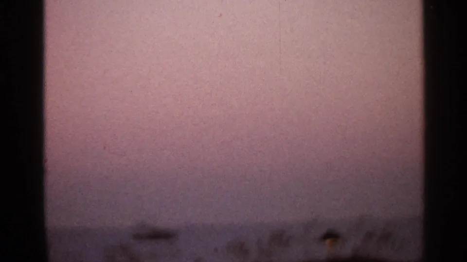 1966 Florida home-movie frame showing a dusky shoreline, water, a small boat shape, and a small lamp or light near the plants.