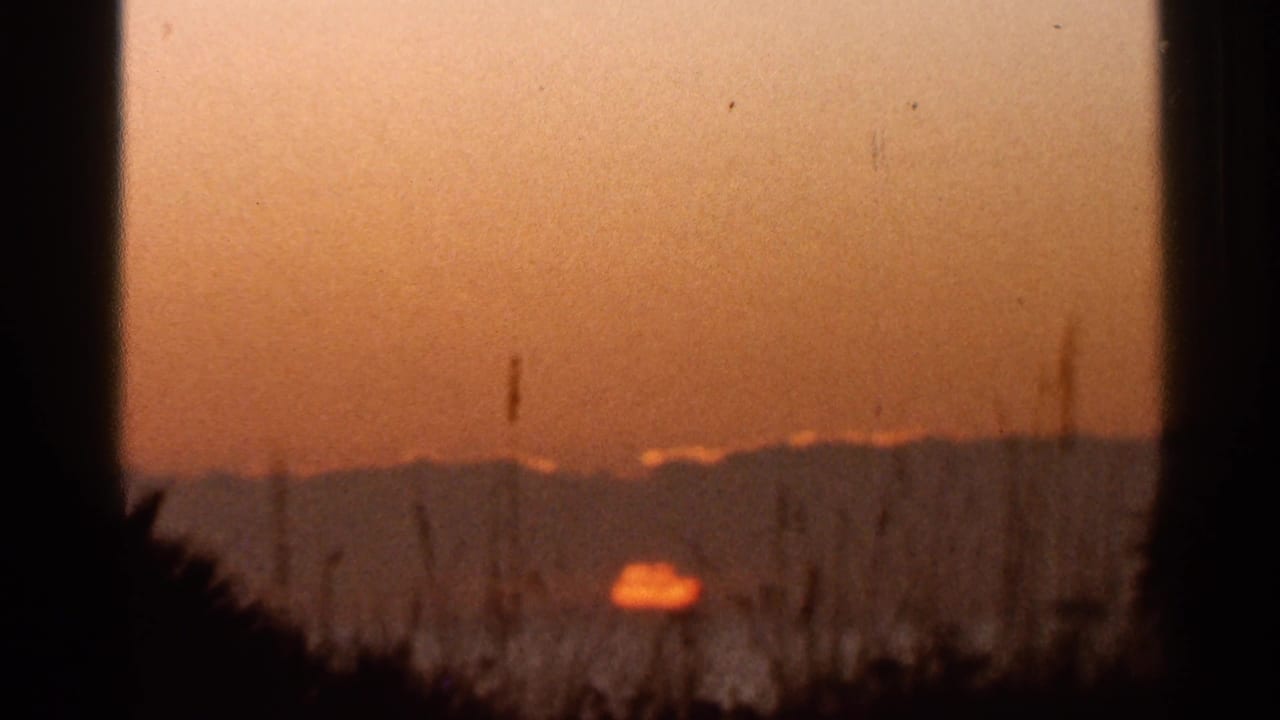 1966 8mm frame from the sunset sequence showing a low orange sun, amber sky, brush silhouettes, and distant terrain.