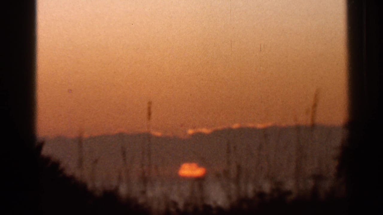 Low orange sun near a dark horizon with silhouetted grasses and film-frame edges.