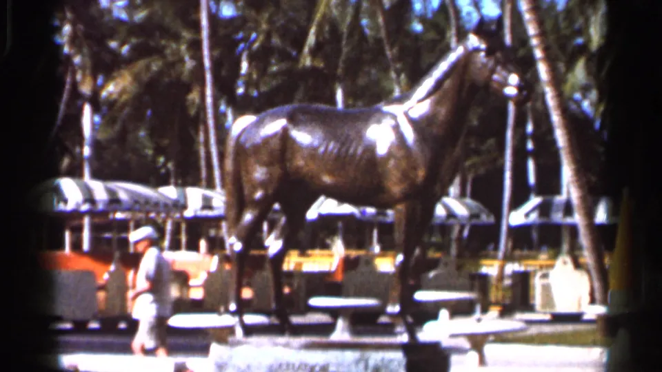 A bronze horse statue appears in a tropical public attraction setting with tram cars and a visitor in 1966 Florida footage.