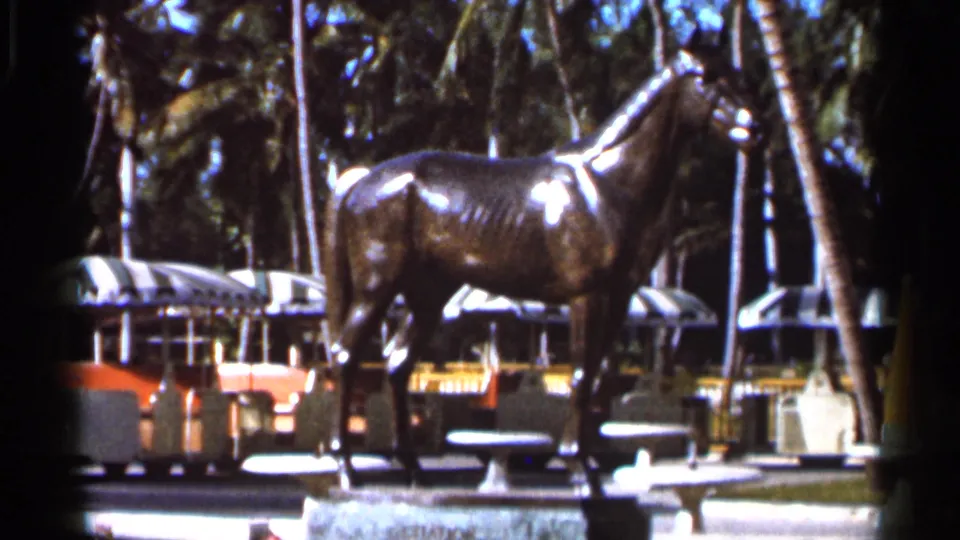 The bronze horse statue is framed in front of palms, benches or tables, and tour tram cars in a Florida attraction scene.