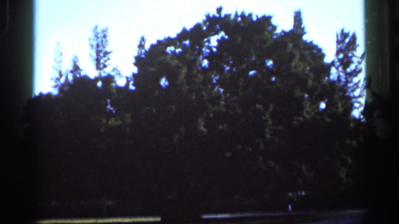 Dark trees against a bright sky with film gate edges visible.