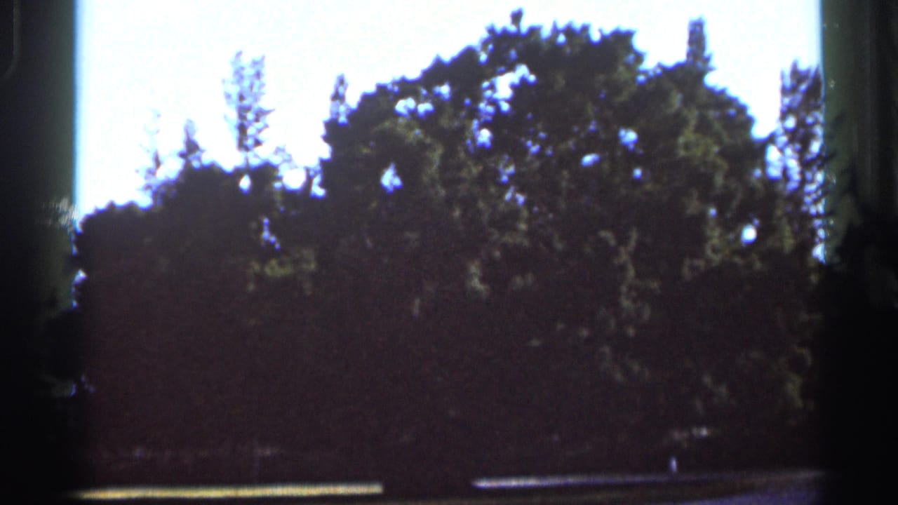 Trees and bright sky seen through a soft, dark film frame.