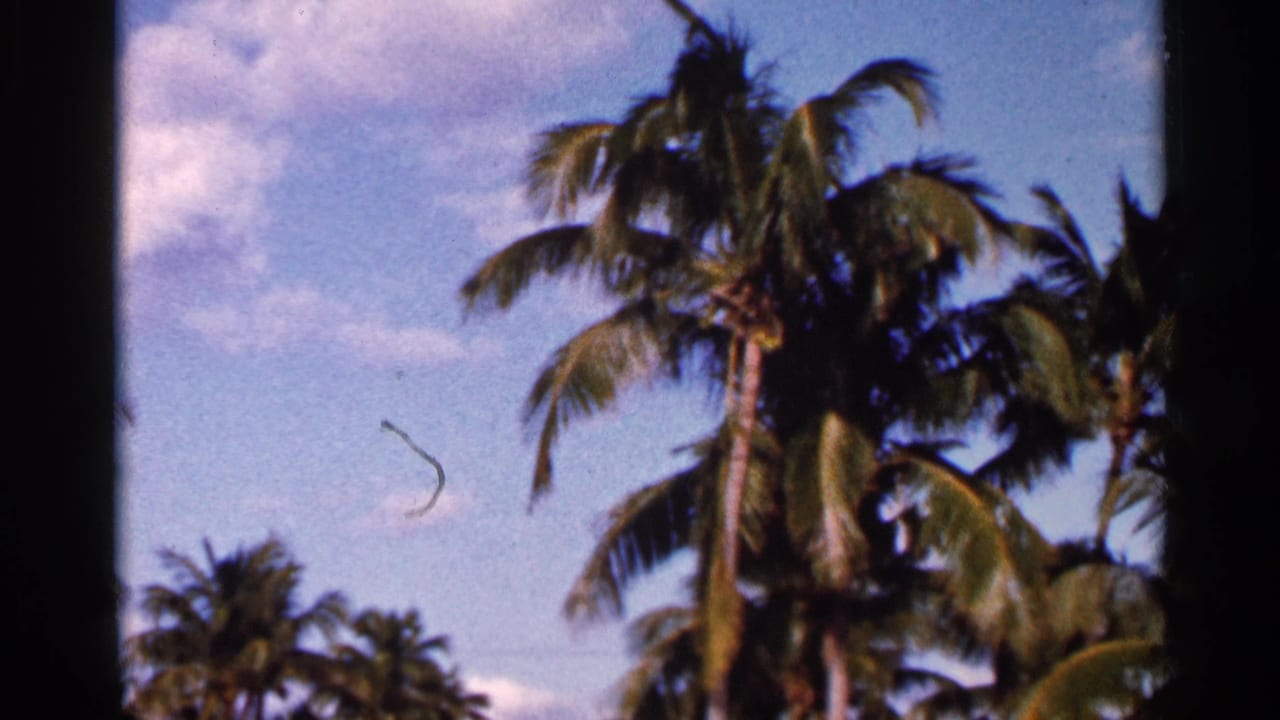 Palm trees against a blue sky with clouds and dark film borders.