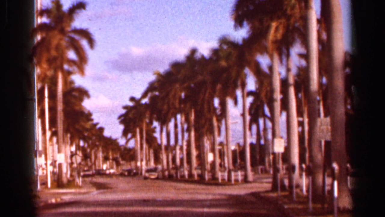 1966 Florida home-movie view down a palm-lined road, with classic cars, street signs, and dark frame-edge shadows.