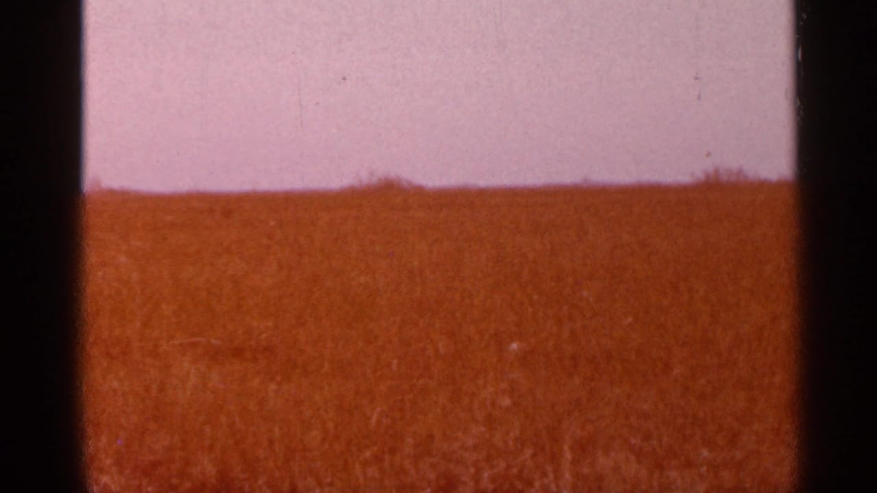 1966 Florida home-movie frame showing an open grassy field and low horizon, with warm faded 8mm color.